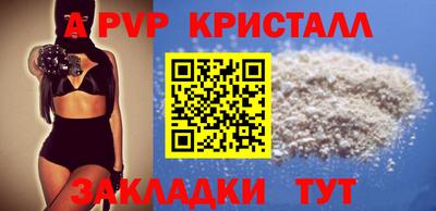 спиды Моздок